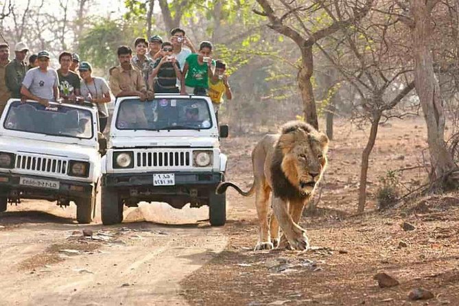 homestays-in-sasan-gir-in-gujrat